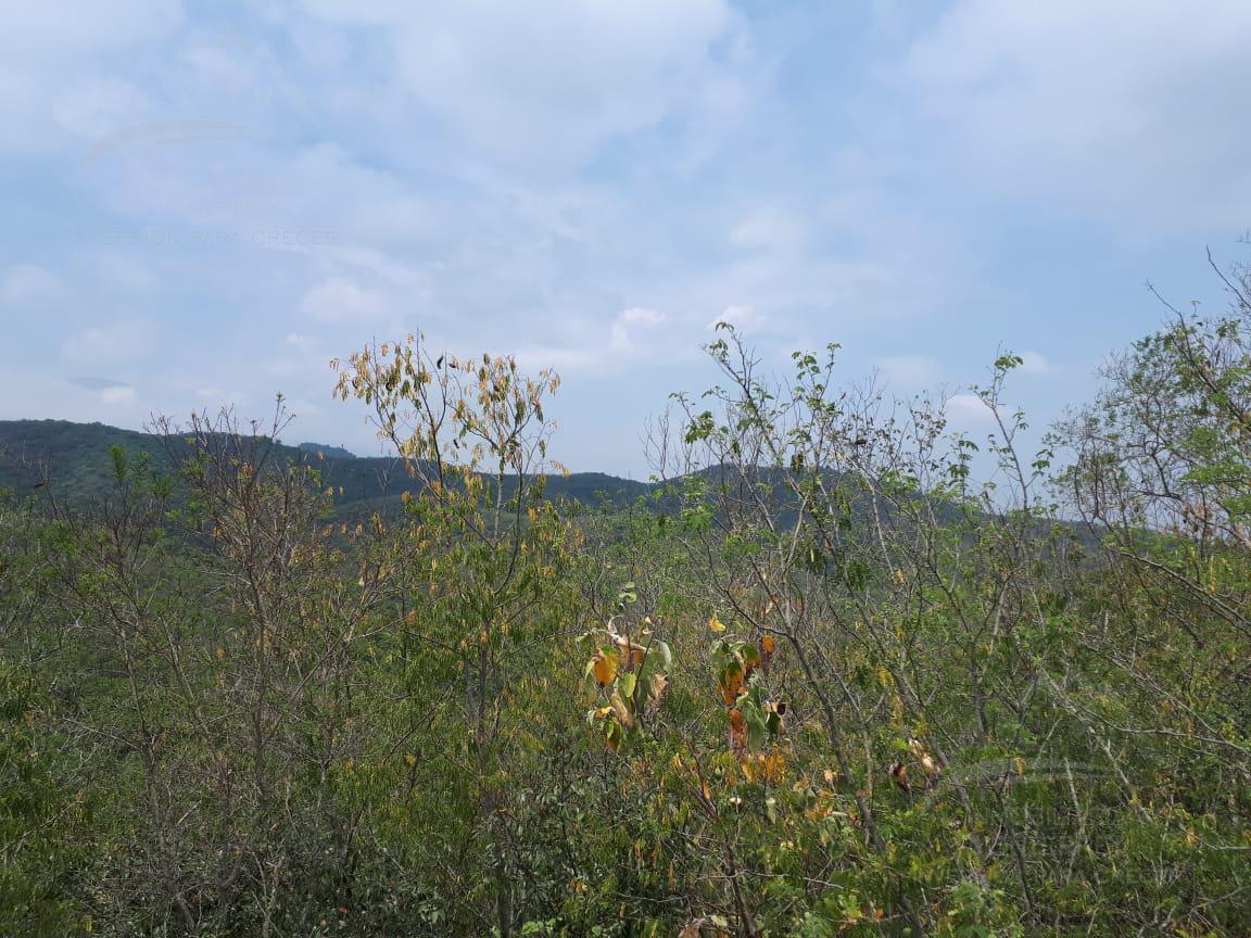 Terreno en venta de 822 hectareas Campestre Montemorelos Nuevo León.