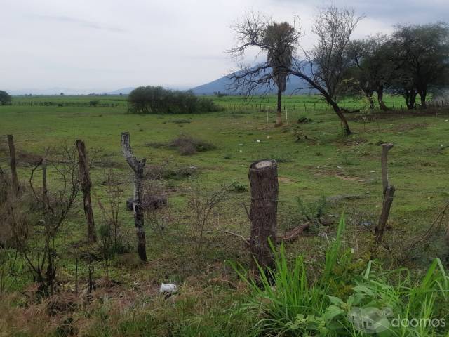 Terreno en venta en Ameca, Jalisco.