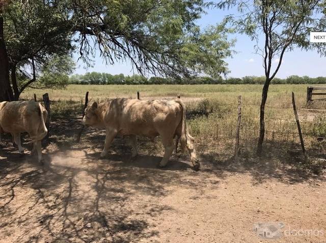 VENDO RANCHO DE 150 HECTAREAS