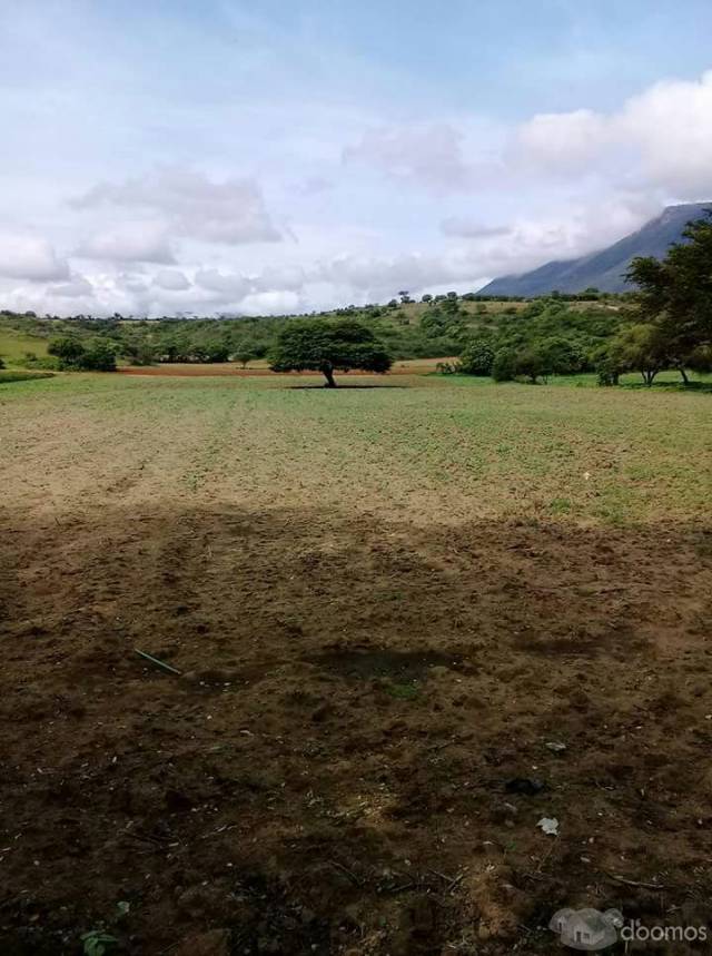 ¡¡REMATO!! TERRENO DE 1200m ORILLA DE CALLE, ESQUINA!!! CON VISTA LAGUNA 3 PALOS, GRO.