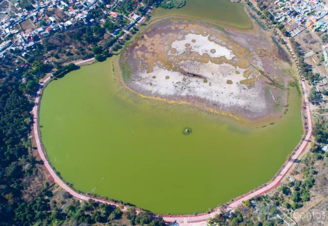 VENTA DE 45 HECTÁREAS MARAVILLOSAS EN  GTO YURIRIA  / AGUA,LUZ, PEGADAS AL PUEBLO MÁGICO