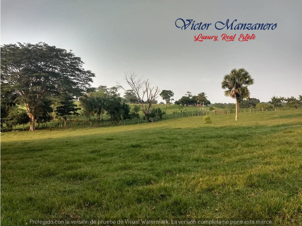 16 HAS. RANCHO GANADERO EN VENTA CARRETERA VILLAHERMOSA-MACUSPANA