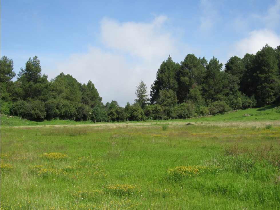 MAGNÍFICO RANCHO CON MANANTIAL