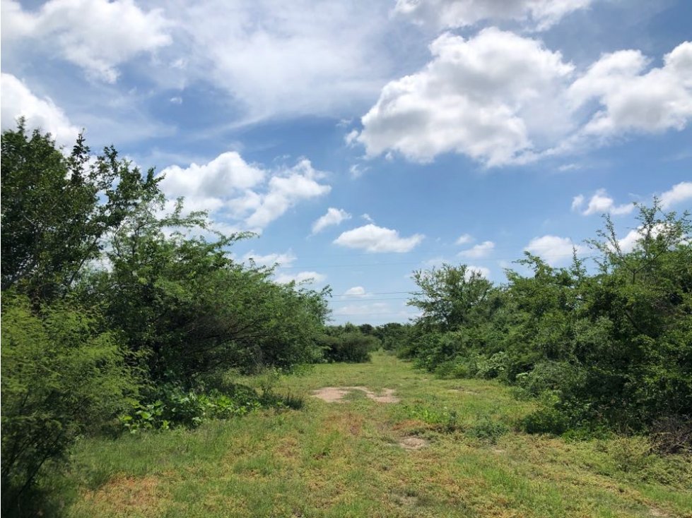 Terreno en venta en el Roble